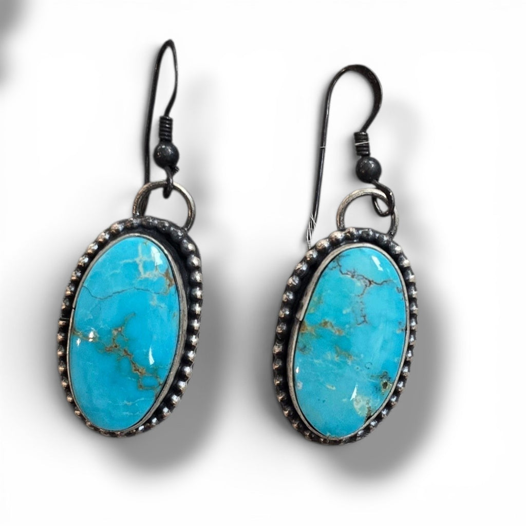 Native Made Royston Turquoise & Sterling Lariat Plus Earrings Set