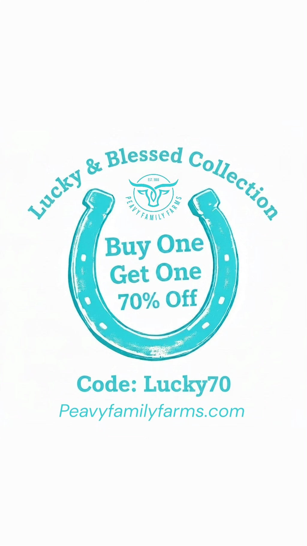 Buy Get One 70% Off