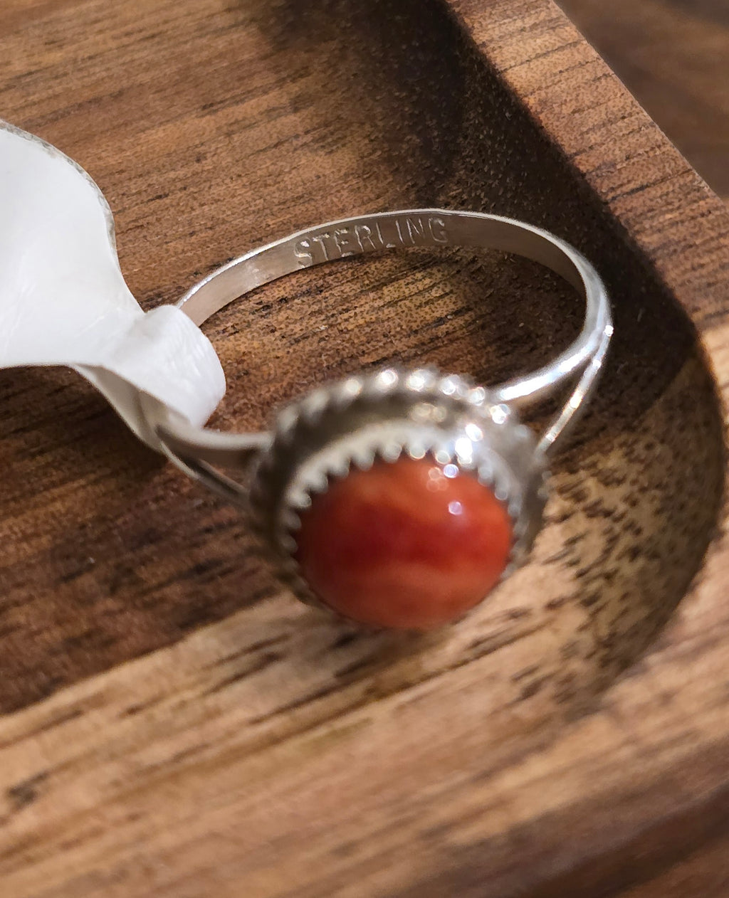 Spiny & Sterling Ring Size 6.5