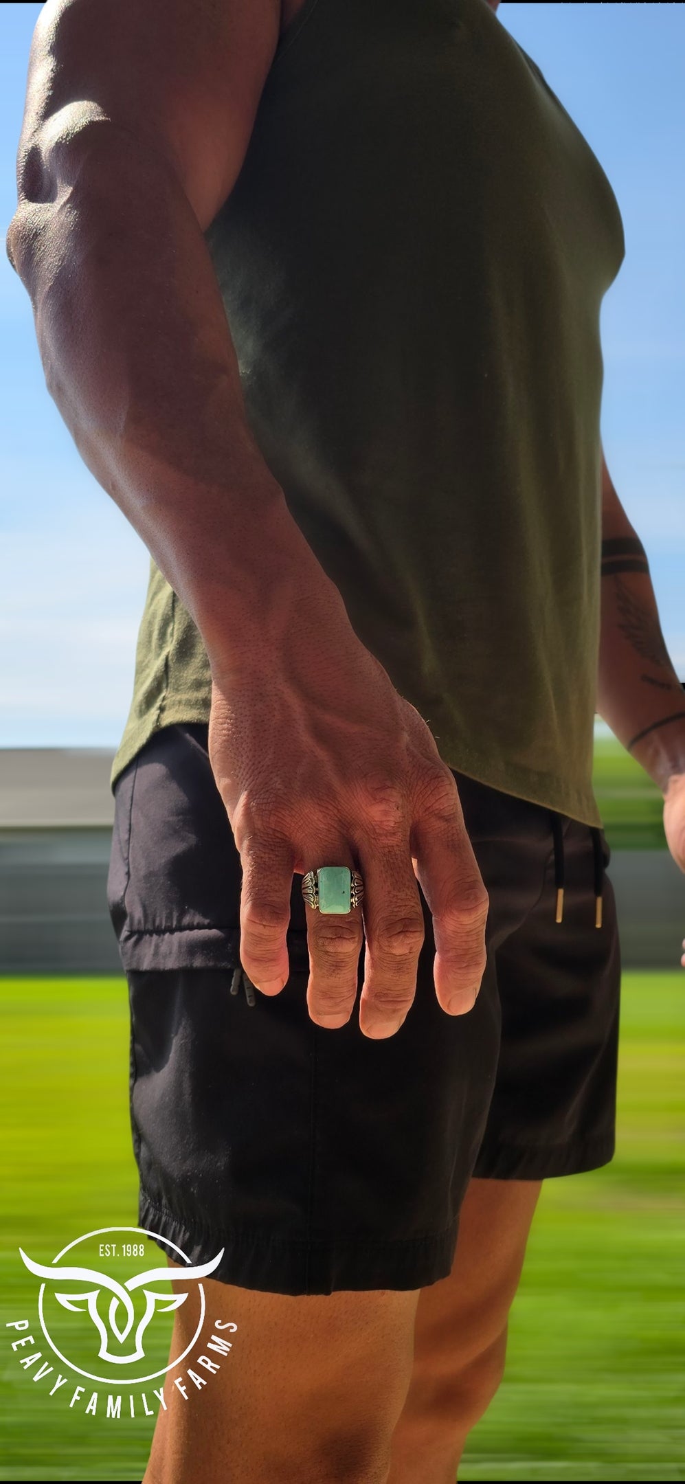 Kingman Turquoise & Sterling Ring Size 10