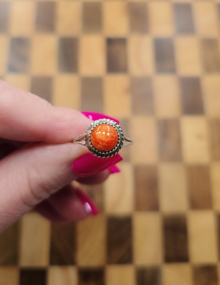 Spiny & Sterling Ring Size 6.5