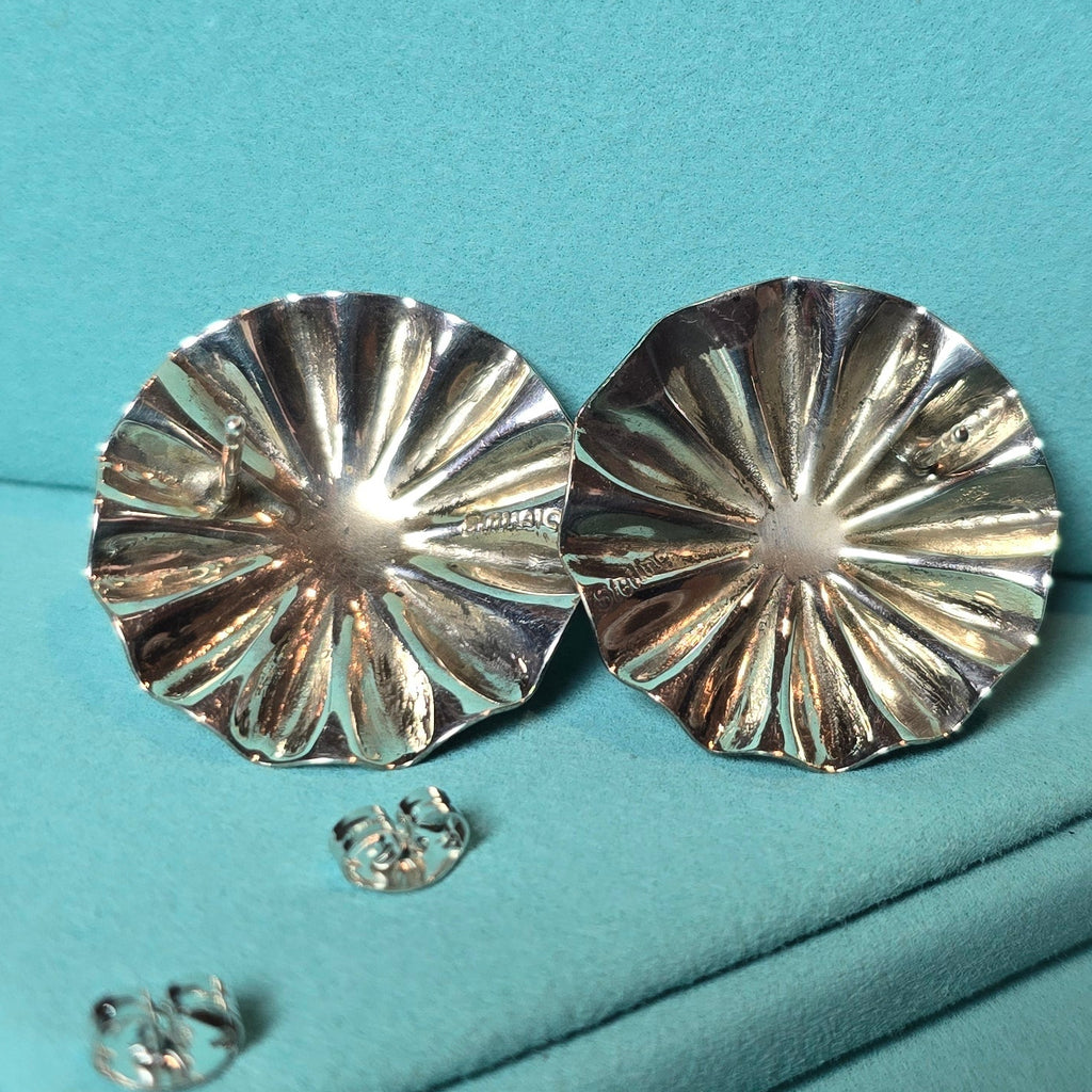 Arlene Soce Turquoise & Sterling Earrings