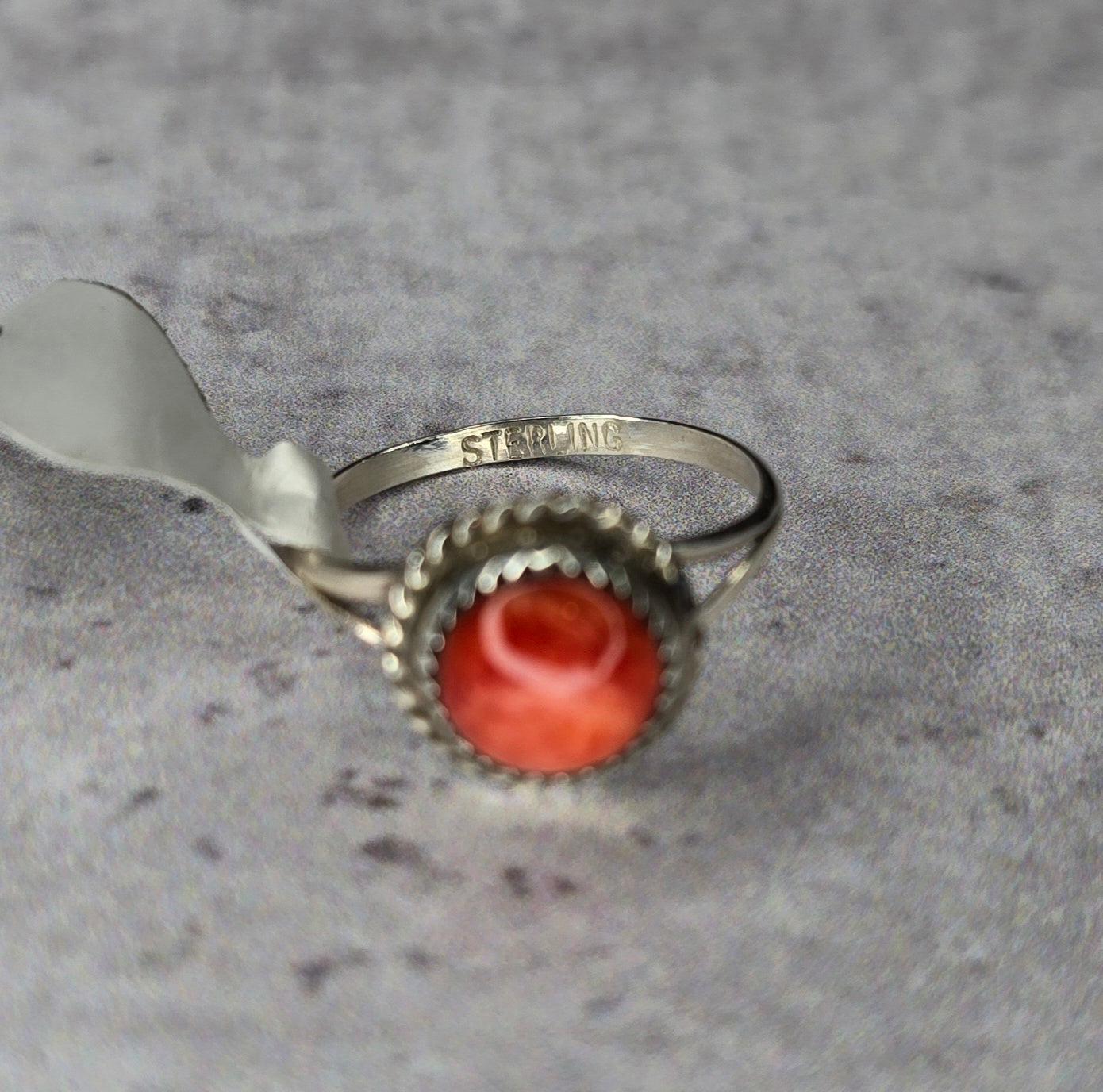 Spiny and Sterling Ring Size 6.5