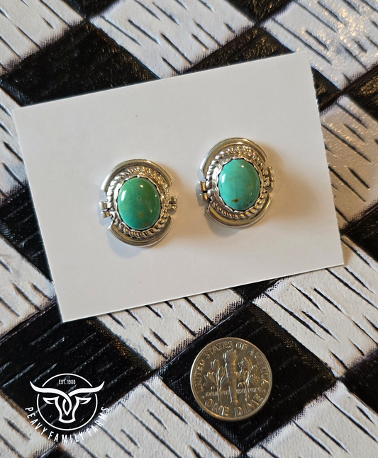 Turquoise and Sterling Earrings