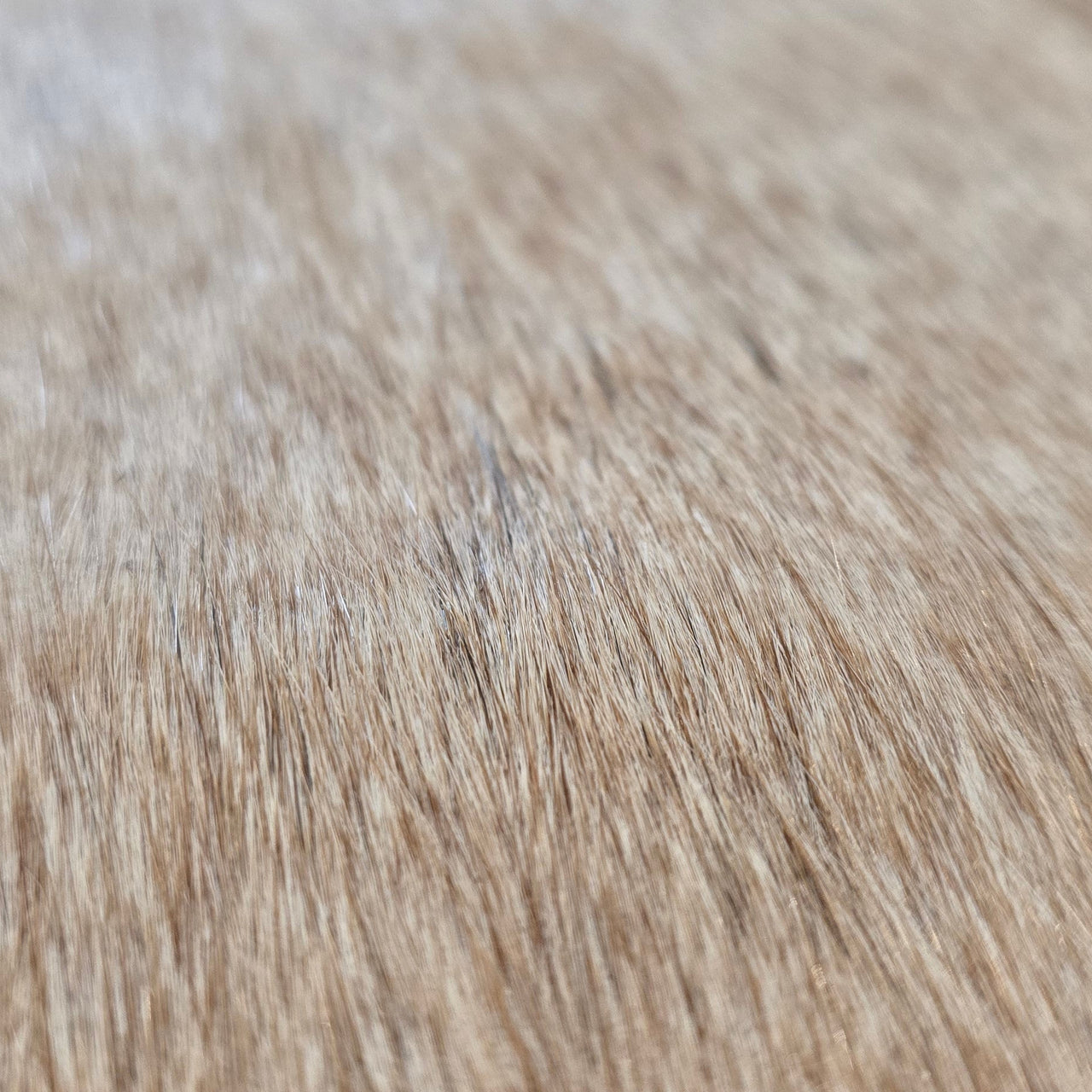 Mini Cow Hide Mat Option 5