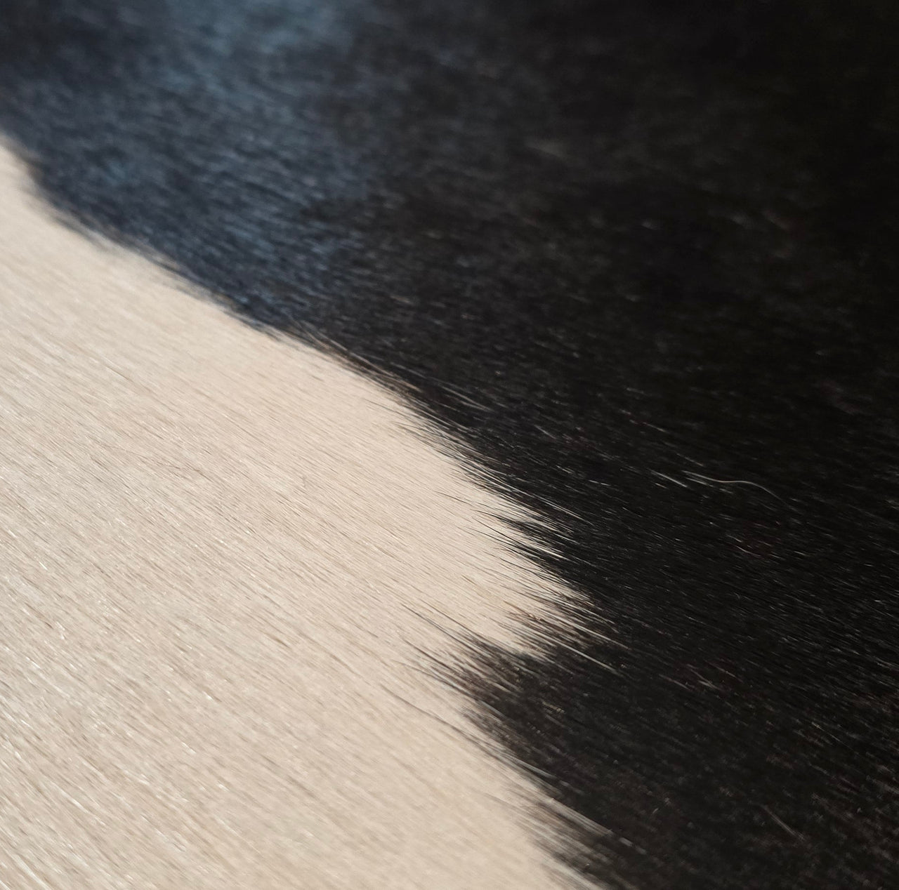 Mini Cow Hide Mat Option 3