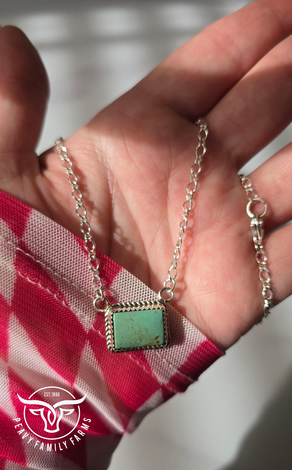 Kingman Turquoise and Sterling Necklace